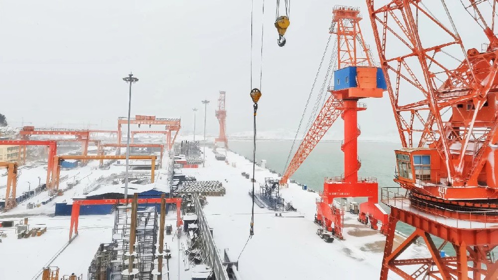 江蘇遠洋散貨公司：落實黨代會精神，以“硬舉措”賦能新程